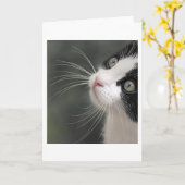 Katten Whiskers Kaart (Gele Bloem)