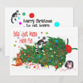 Katten willen gewoon plezier hebben Kerstkaart van (Voorkant / Achterkant)