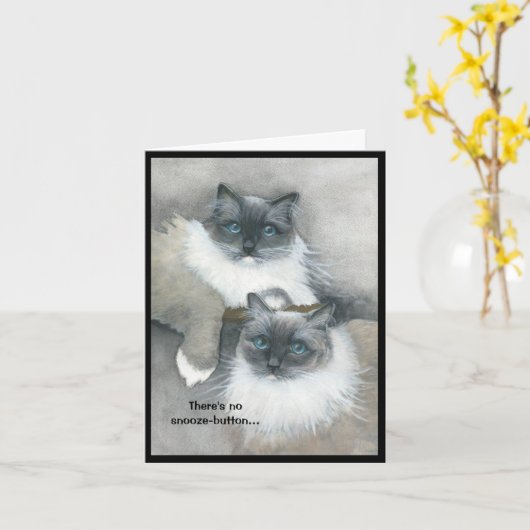 Katten willen ontbijt kaart (Gele Bloem)