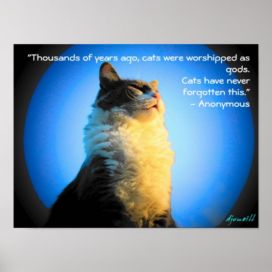 Katten Worshishied als goden - met anonieme prijso Poster (Voorkant)
