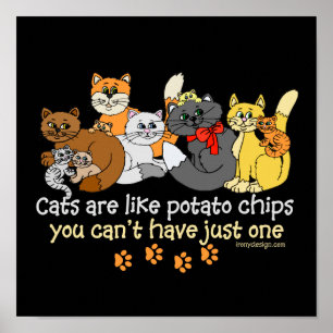 Katten zijn als aardappelchips poster