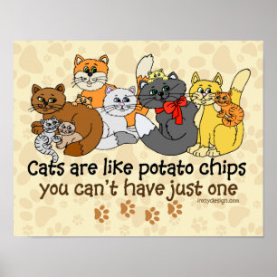 Katten zijn als aardappelchips poster