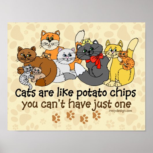 Katten zijn als aardappelchips poster (Voorkant)