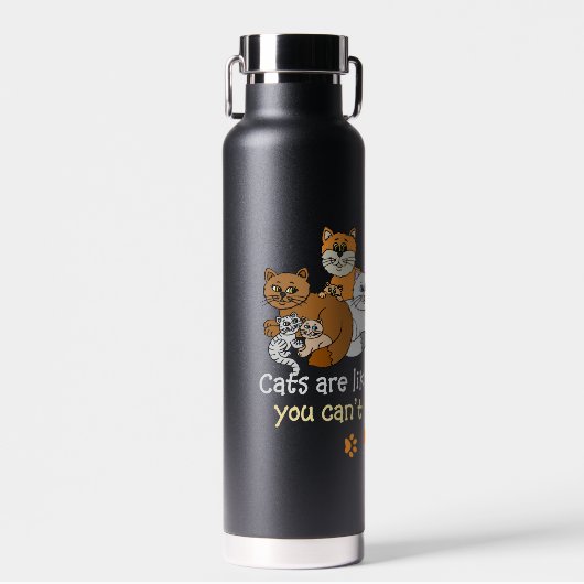 Katten zijn als aardappelchips waterfles (Voorkant)