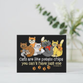 Katten zijn als chips briefkaart (Staand voorkant)