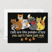 Katten zijn als chips briefkaart (Voorkant / Achterkant)