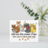 Katten zijn als chips briefkaart (Staand voorkant)