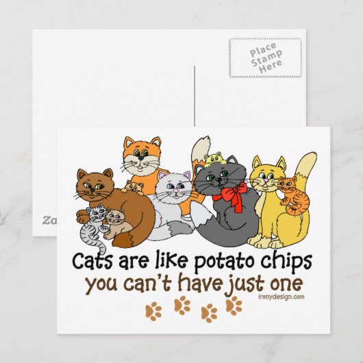 Katten zijn als chips briefkaart (Voorkant / Achterkant)