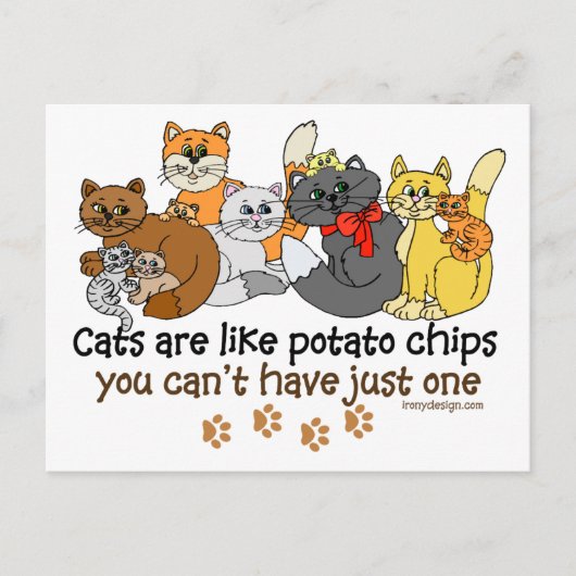 Katten zijn als chips briefkaart (Voorkant)