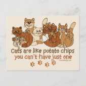 Katten zijn als chips briefkaart (Voorkant)