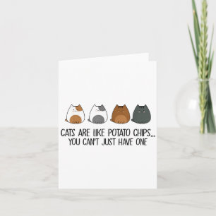Katten zijn als chips die je niet zomaar kunt krij kaart