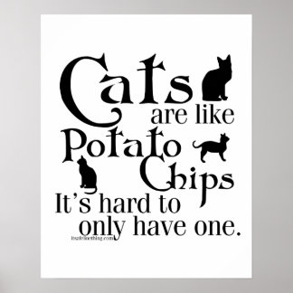 Katten zijn als chips... poster
