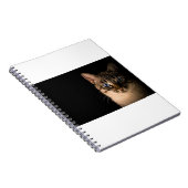 Katten zijn de beste 20 notitieboek (Rechterzijde)