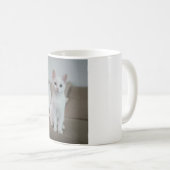 Katten zijn de beste 42 koffiemok (Voorkant rechts)