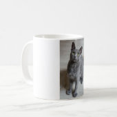 Katten zijn de beste 57 koffiemok (Voorkant links)