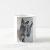 Katten zijn de beste 57 koffiemok (Center)