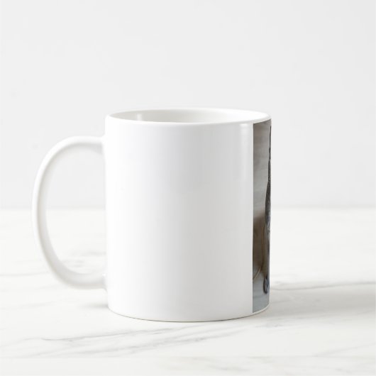 Katten zijn de beste 57 koffiemok (Links)