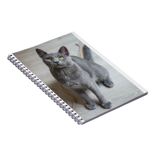Katten zijn de beste 57 notitieboek (Rechterzijde)