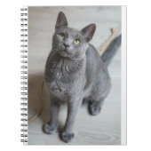 Katten zijn de beste 57 notitieboek (Voorkant)