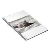 Katten zijn de beste 66 notitieboek (Rechterzijde)
