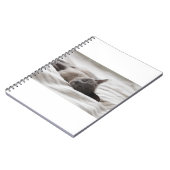 Katten zijn de beste 66 notitieboek (Linkerzijde)