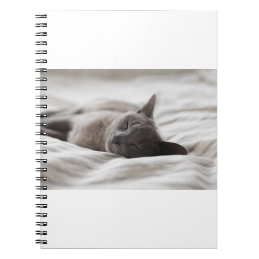Katten zijn de beste 66 notitieboek (Voorkant)