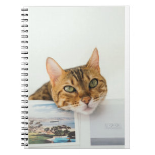 Katten zijn de beste 76 notitieboek