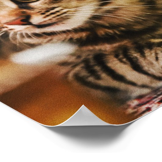 Katten zijn de beste 85 poster (Hoek)