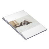 Katten zijn de beste 88 notitieboek (Rechterzijde)