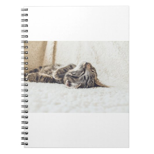 Katten zijn de beste 88 notitieboek (Voorkant)