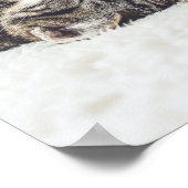 Katten zijn de beste 88 poster (Hoek)