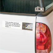 Katten zijn de grootste Bumpersticker (Op Truck)
