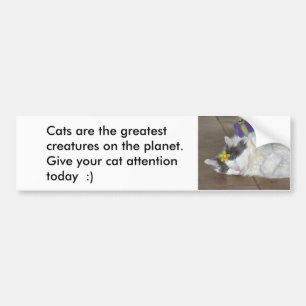 Katten zijn de grootste Bumpersticker