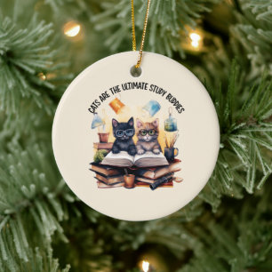 Katten zijn de ultieme studiegenoten keramisch ornament