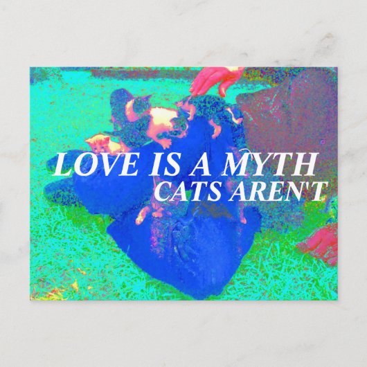 katten zijn echt briefkaart (Voorkant)