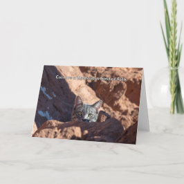 Katten zijn een mysterieus soort van folk notecard aankondiging