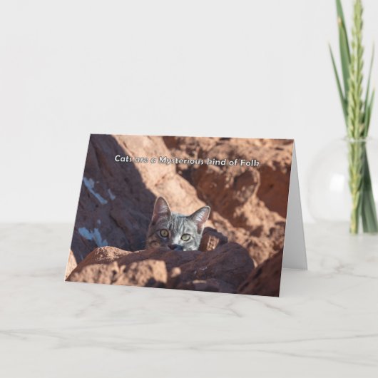 Katten zijn een mysterieus soort van folk notecard aankondiging (Voorkant)