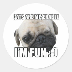 KATten ZIJN ELLENDIG IK BEN LEUK :-) MEME Ronde Sticker