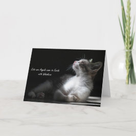 Katten zijn engelen die naar de aarde komen, let o aankondiging