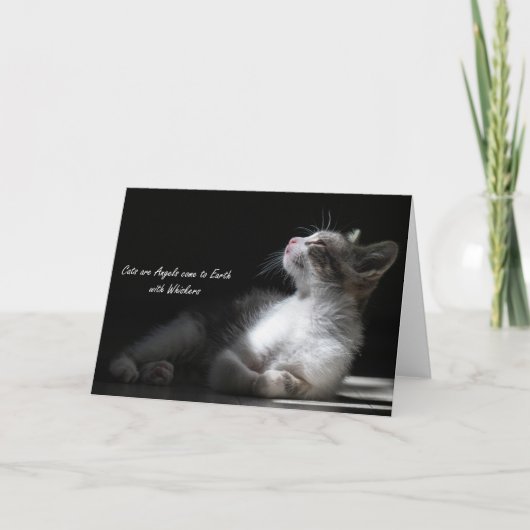 Katten zijn engelen die naar de aarde komen, let o aankondiging (Voorkant)