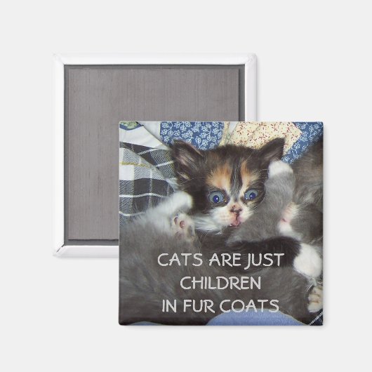 KATTEN ZIJN GEWOON KINDEREN IN BONTJASSEN MAGNEET (Voorkant / Achterkant)