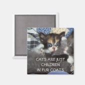 KATTEN ZIJN GEWOON KINDEREN IN BONTJASSEN MAGNEET (Voorkant / Achterkant)