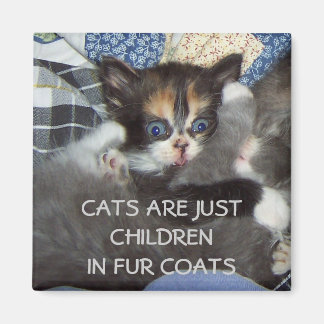 KATTEN ZIJN GEWOON KINDEREN IN BONTJASSEN MAGNEET