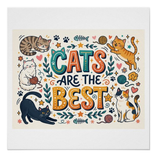 Katten zijn het beste perfect poster (Voorkant)