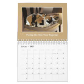 Katten zijn Katten - Kalender - Liefde wint (Jan 2027)