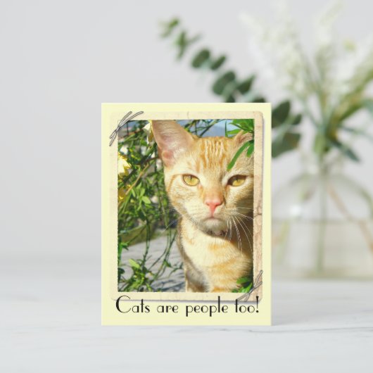 Katten zijn mensen te Briefkaart! Briefkaart (Staand voorkant)
