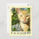 Katten zijn mensen te Briefkaart! Briefkaart (Voorkant / Achterkant)