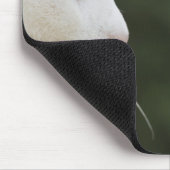 Katten zijn mijn favoriete mensen muismat (Hoek)