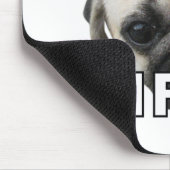 KATTEN ZIJN MISERBAAR IK BEN VRIJ :-) MEME MUISMAT (Hoek)