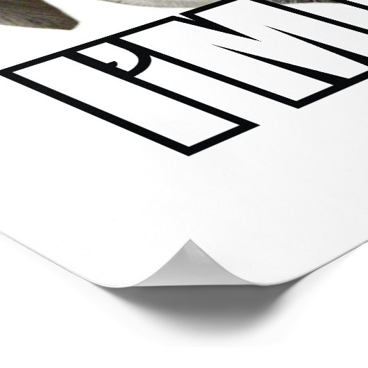 KATTEN ZIJN MISERBAAR IK BEN VRIJ :-) MEME POSTER (Hoek)